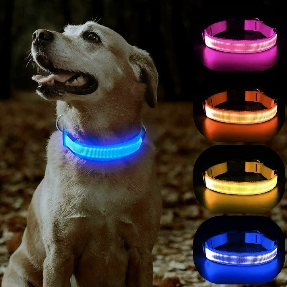 Pet Dog Collar USB Rechargeable LED Flashing Luminous Safety Light