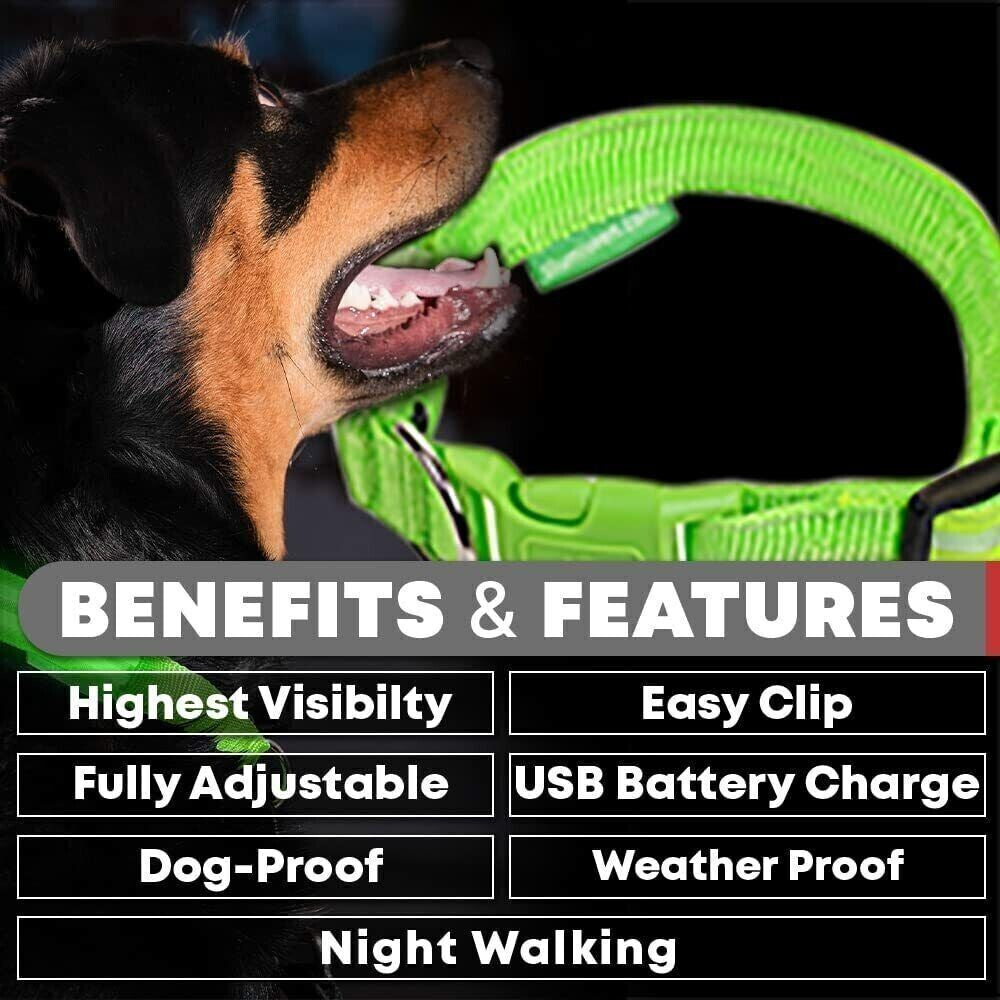 Pet Dog Collar USB Rechargeable LED Flashing Luminous Safety Light