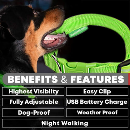 Pet Dog Collar USB Rechargeable LED Flashing Luminous Safety Light