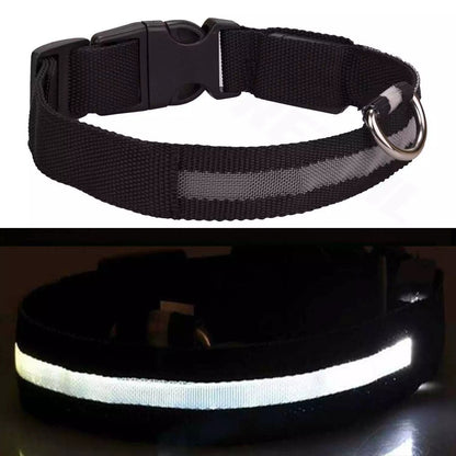 Pet Dog Collar USB Rechargeable LED Flashing Luminous Safety Light