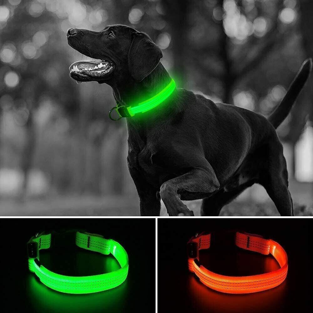 Pet Dog Collar USB Rechargeable LED Flashing Luminous Safety Light