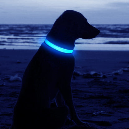 Pet Dog Collar USB Rechargeable LED Flashing Luminous Safety Light