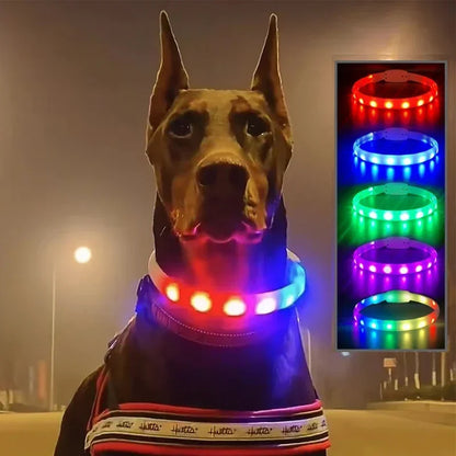 Silicone Led Dog Collar Usb Rechargeable Luminous