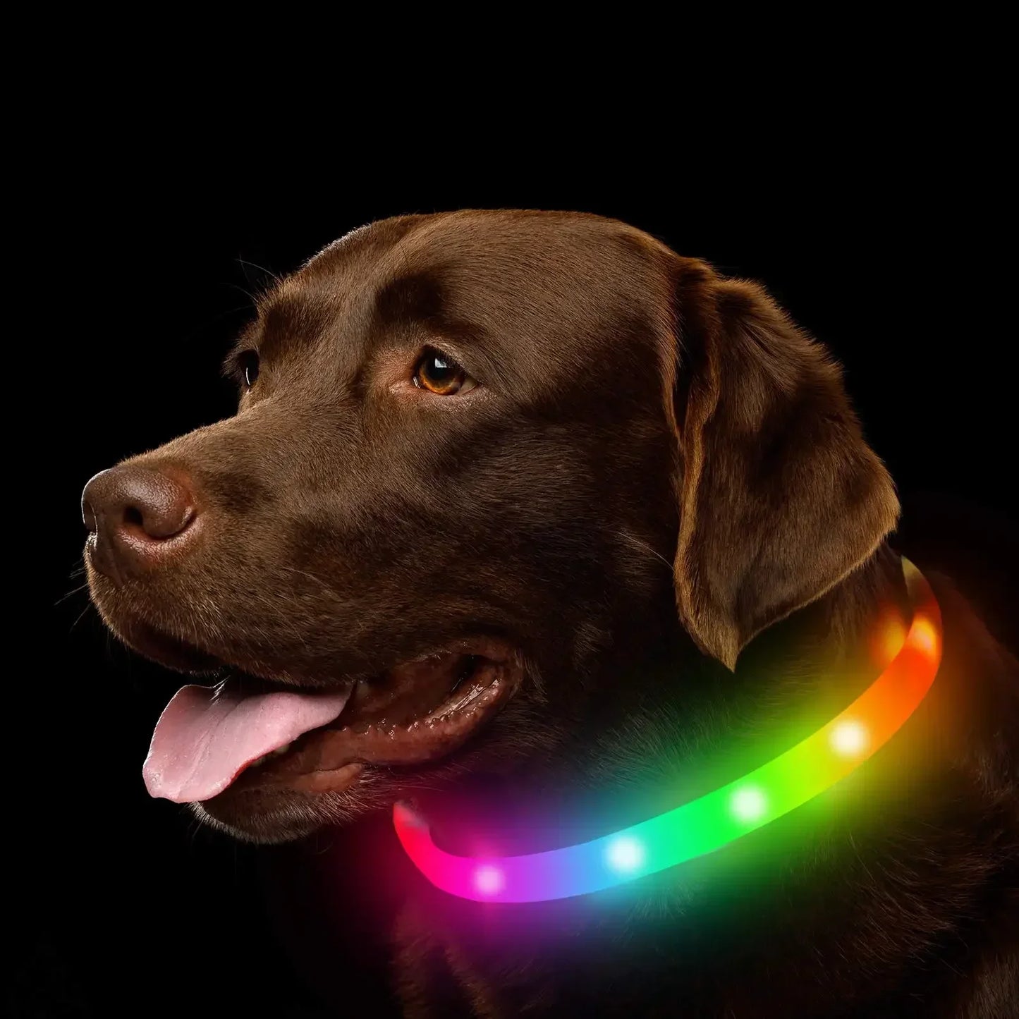 Silicone Led Dog Collar Usb Rechargeable Luminous