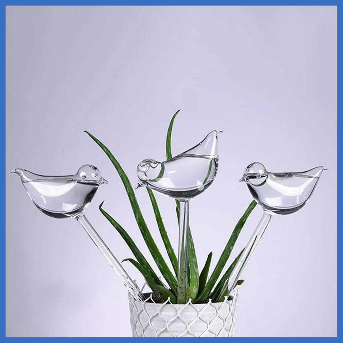 Self Watering Plants Bird Shape Aqua Bulb