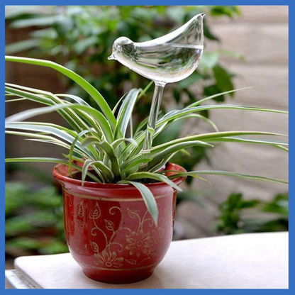Self Watering Plants Bird Shape Aqua Bulb