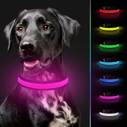 Pet Dog Collar USB Rechargeable LED Flashing Luminous Safety Light