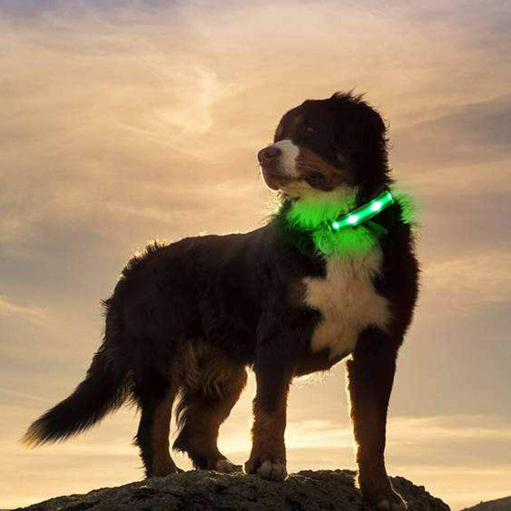 Pet Dog Collar USB Rechargeable LED Flashing Luminous Safety Light