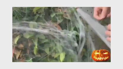 Luminous Spider Web,Stretchy Cobweb with Fake Spiders